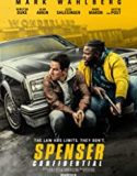 Spenser Kanunları