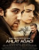 Ahlat Ağacı