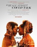 Sokağın Dili Olsa / If Beale Street Could Talk