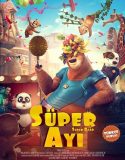 Süper Ayı / Super Bear